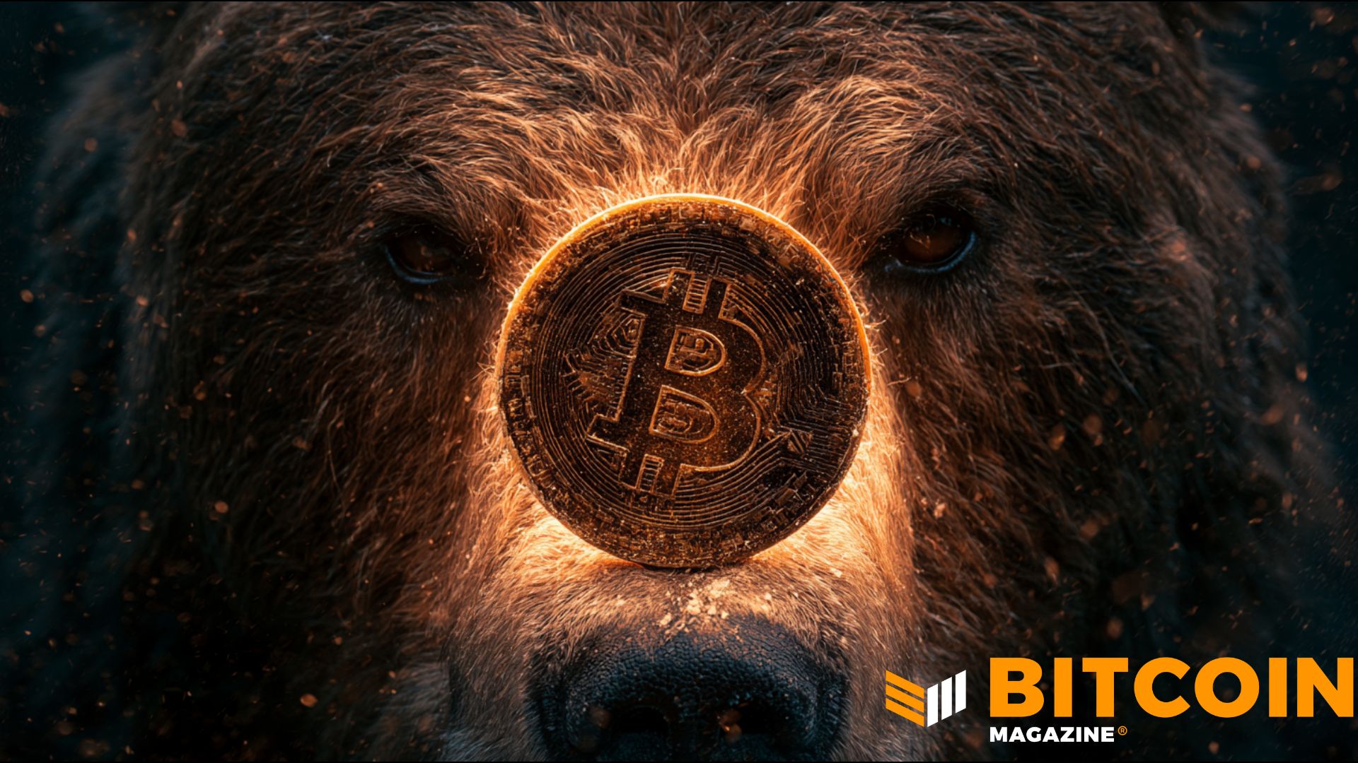 „Bitcoin Bear“ rinka gali dar nesibaigti, sako „Fidelity“.