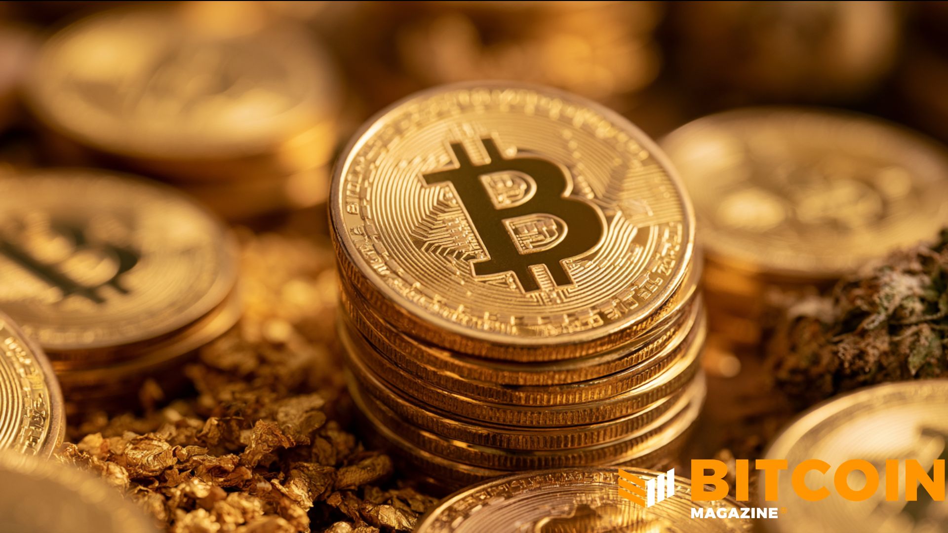 „Edelman Financial“, „Tudor Investment“ atskleidė reikšmingas „Bitcoin“ investicijas